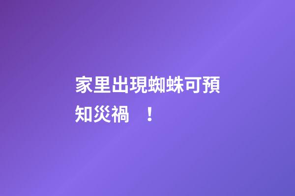 家里出現蜘蛛可預知災禍！